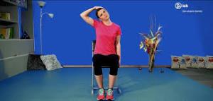 slika, vadba na stolu